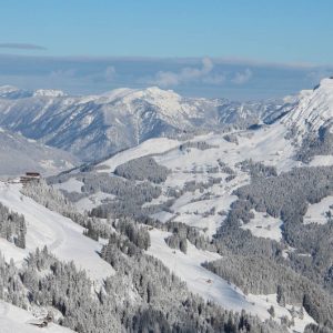 winter_horn